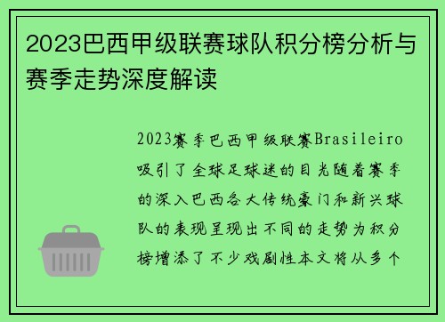 2023巴西甲级联赛球队积分榜分析与赛季走势深度解读